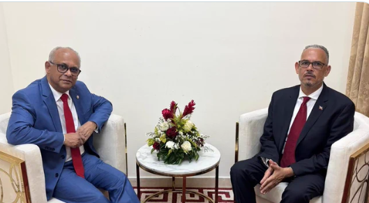 OEA y Haití priorizan seguridad y elecciones durante visita de alto nivel