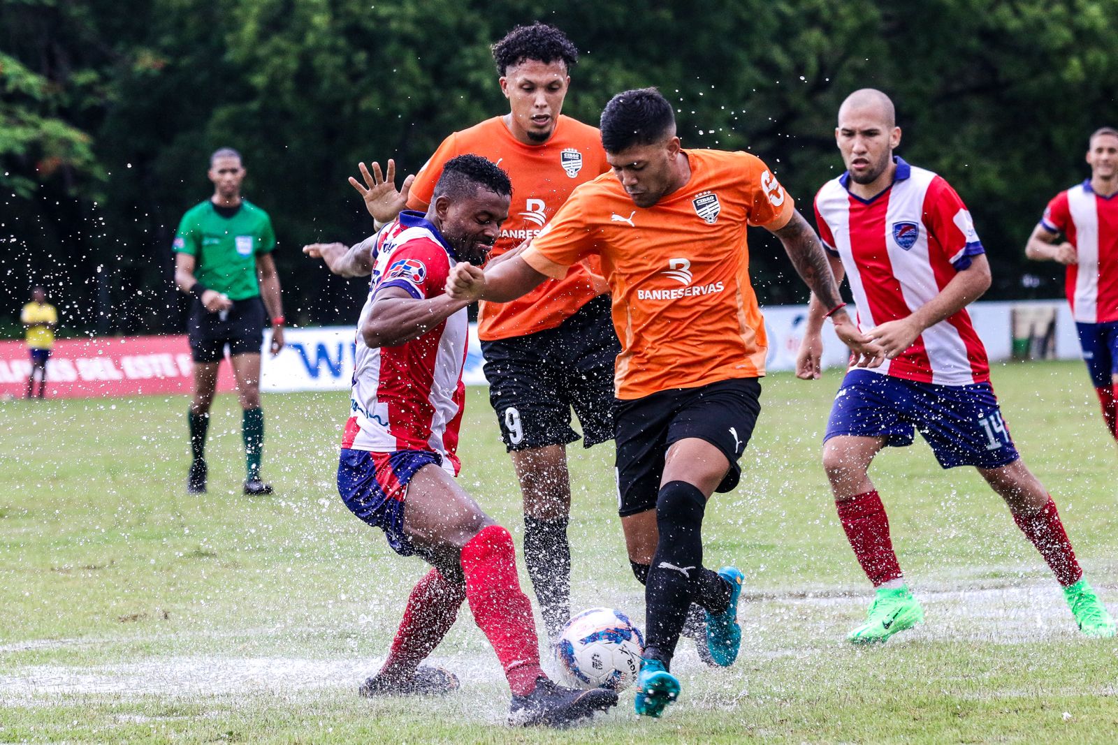 El Cibao FC recibirá este martes a los Delfines del Este a partir de las 7 de la noche en la cancha de la Universidad Católica Madre y Maestra