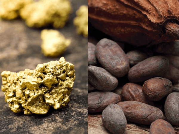Oro, cacao, cemento y cobre representaron los 4 principales productos exportó RD en primeros 6 meses de 2026, totalizaron 57.3% y US$2,046.8 millones
