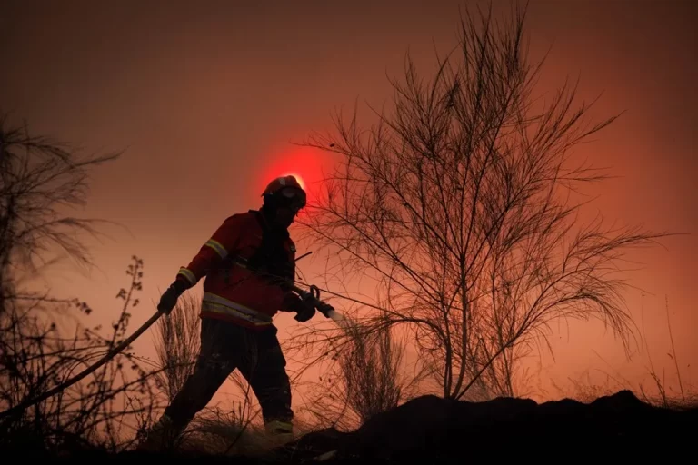 El fuego se extiende por el nordeste de Portugal y obliga a evacuar varios municipios