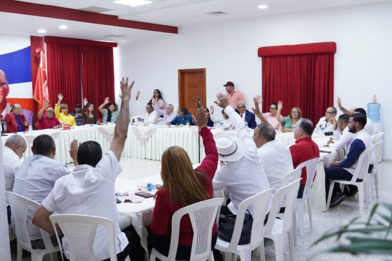 Partido Reformista escogerá el 24 de octubre a sus nuevas autoridades en una convención