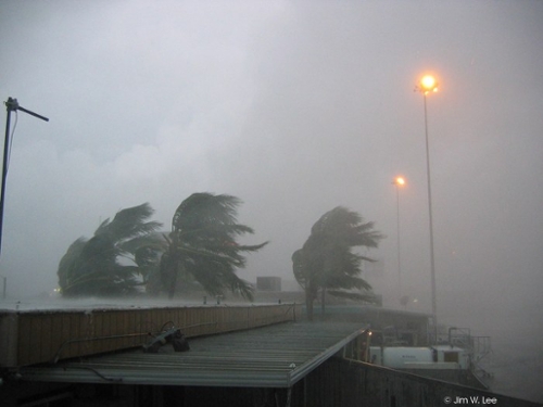 Lluvias y fuertes vientos se registran en Juma-Bejucal