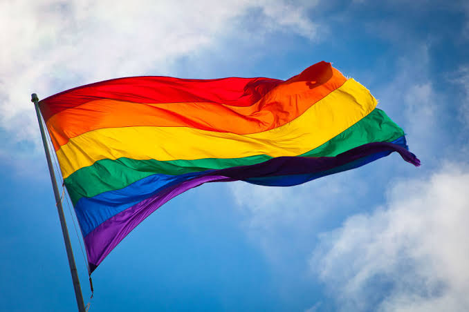 Grupos provida rechazan incluir orientación sexual en artículo 173 del Código Penal