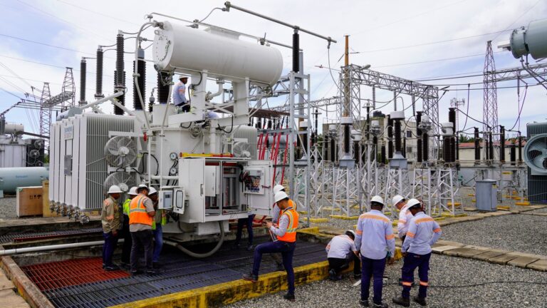 Edesur hará este martes trabajos de mantenimiento en la Subestación Los Prados