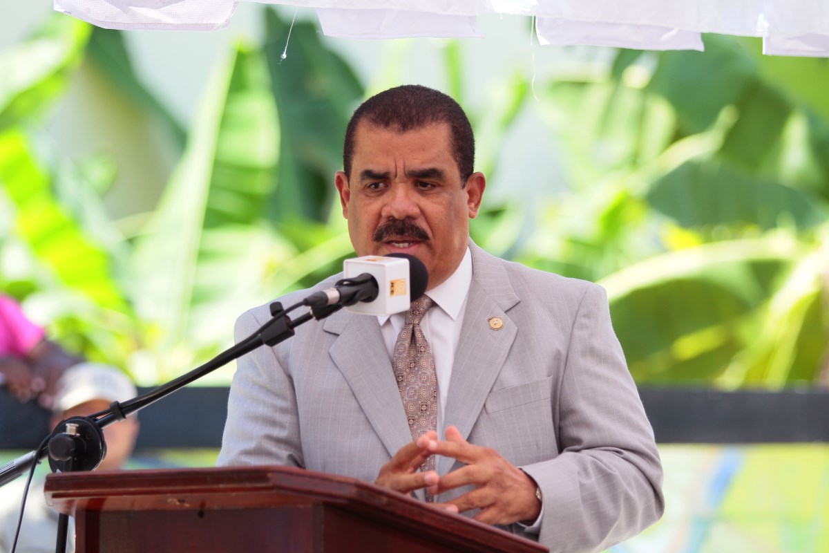 Importaciones de alimentos ponen presión sobre productores dominicanos, advierte Sánchez Roa