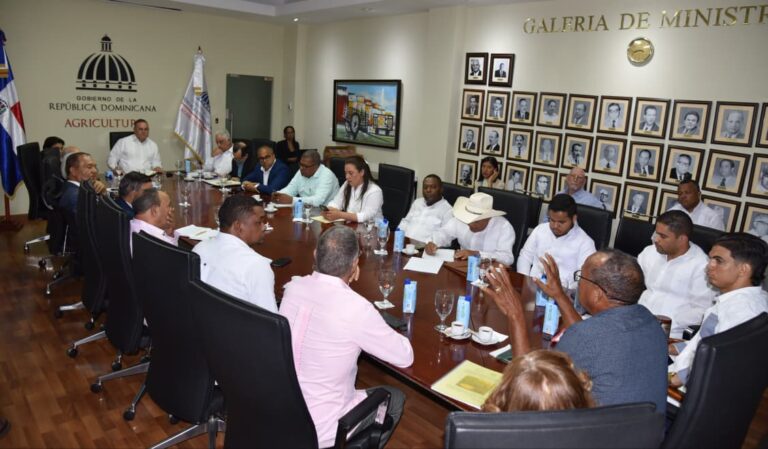 Agricultura y productores ordenarán cosecha de yuca amarga y fortalecer industria del casabe
