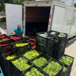 República Dominicana pierde 1.1 millones de kilos de alimentos cada semana