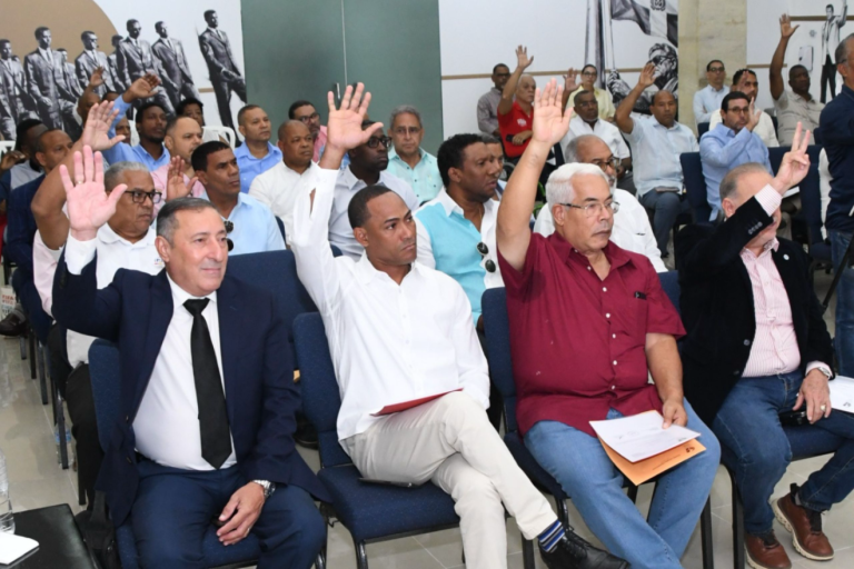 Las federaciones deportivas aprobaron a unanimidad la comisión que presidirá las elecciones del Comité Olímpico Dominicano