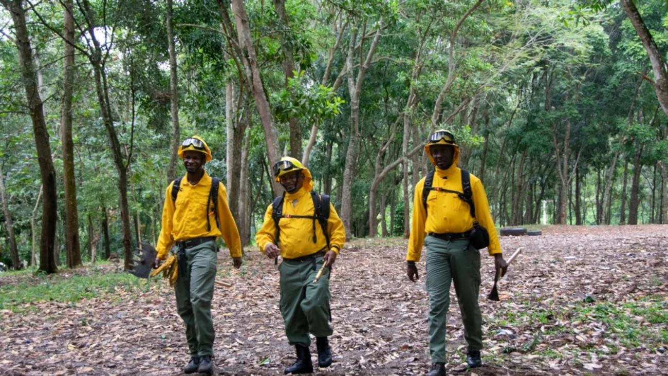 Observatorio de Áreas Protegidas alerta sobre "emergencia" por incendios forestales en el país