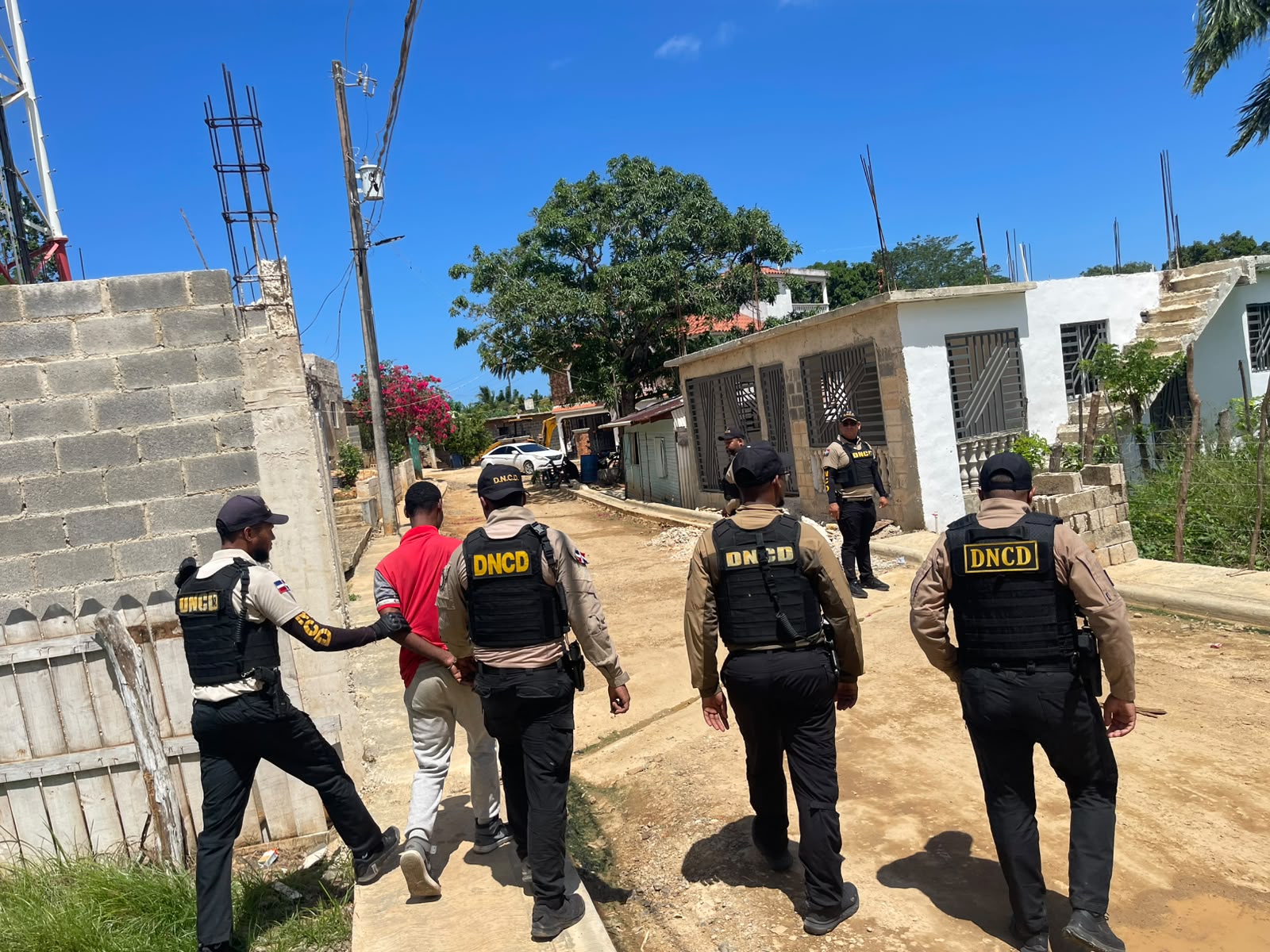 Varios detenidos y drogas incautadas en operativos de la DNCD en provincias
