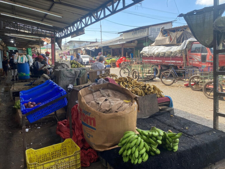 Se dispara el precio de los alimentos y aprieta cada vez más el bolsillo de los dominicanos