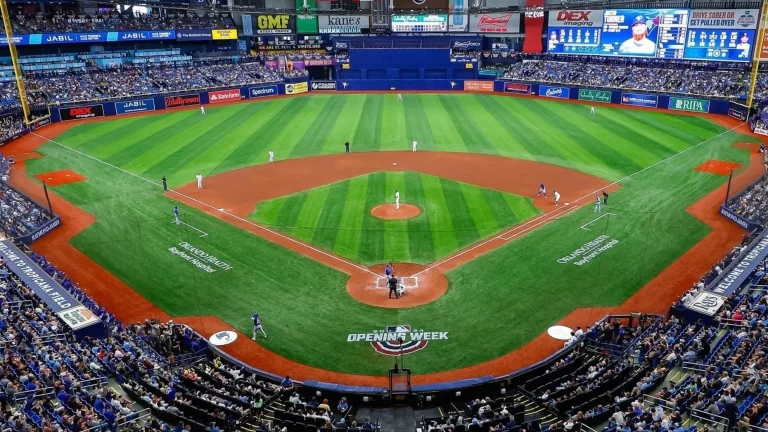 Consideran que el éxito del equipo de Tampa Bay ha sido la causa principal del aumento de la asistencia de los fanáticos a los estadios de Grandes Ligas