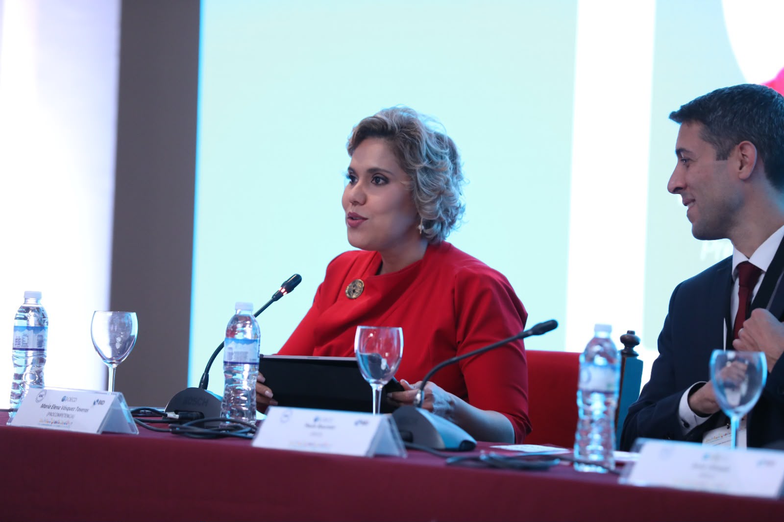 María Elena Vásquez preside sesión de competencia e informalidad en foro de la OCDE