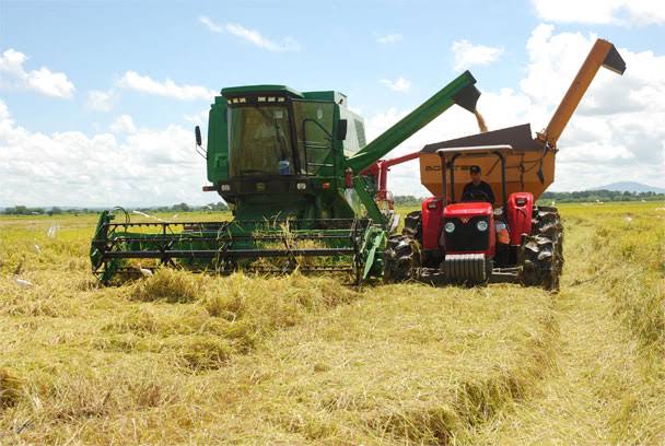 Director de ADOFA, Heraldo Suero, dice que confía en el presidente Abinader para proteger la producción nacional de arroz