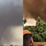 Un fuerte tornado golpea Marsala, en Sicilia, y deja daños en viviendas, una escuela y varios heridos, incluidos menores