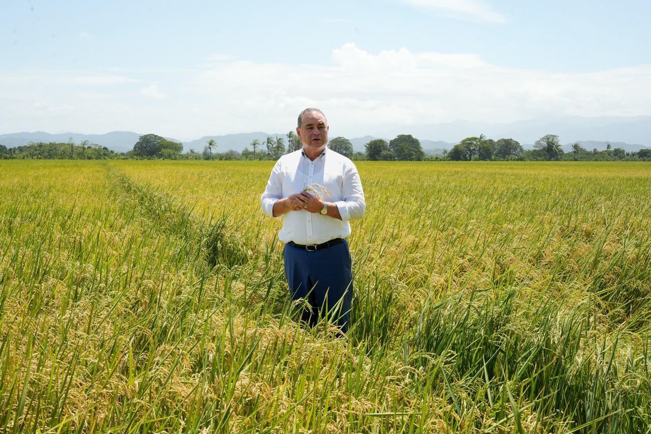 Video confirma postura del ministro de Agricultura sobre polémica por supuesta dispensa al sector arrocero