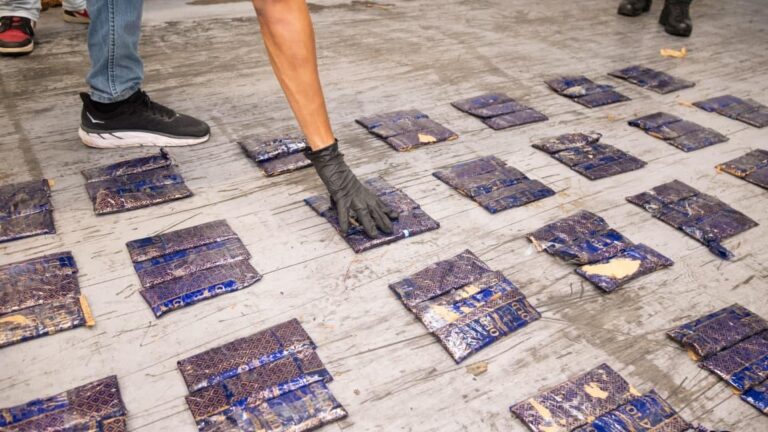 DNCD ocupa 172 láminas de cocaína en operativo en el puerto multimodal Caucedo