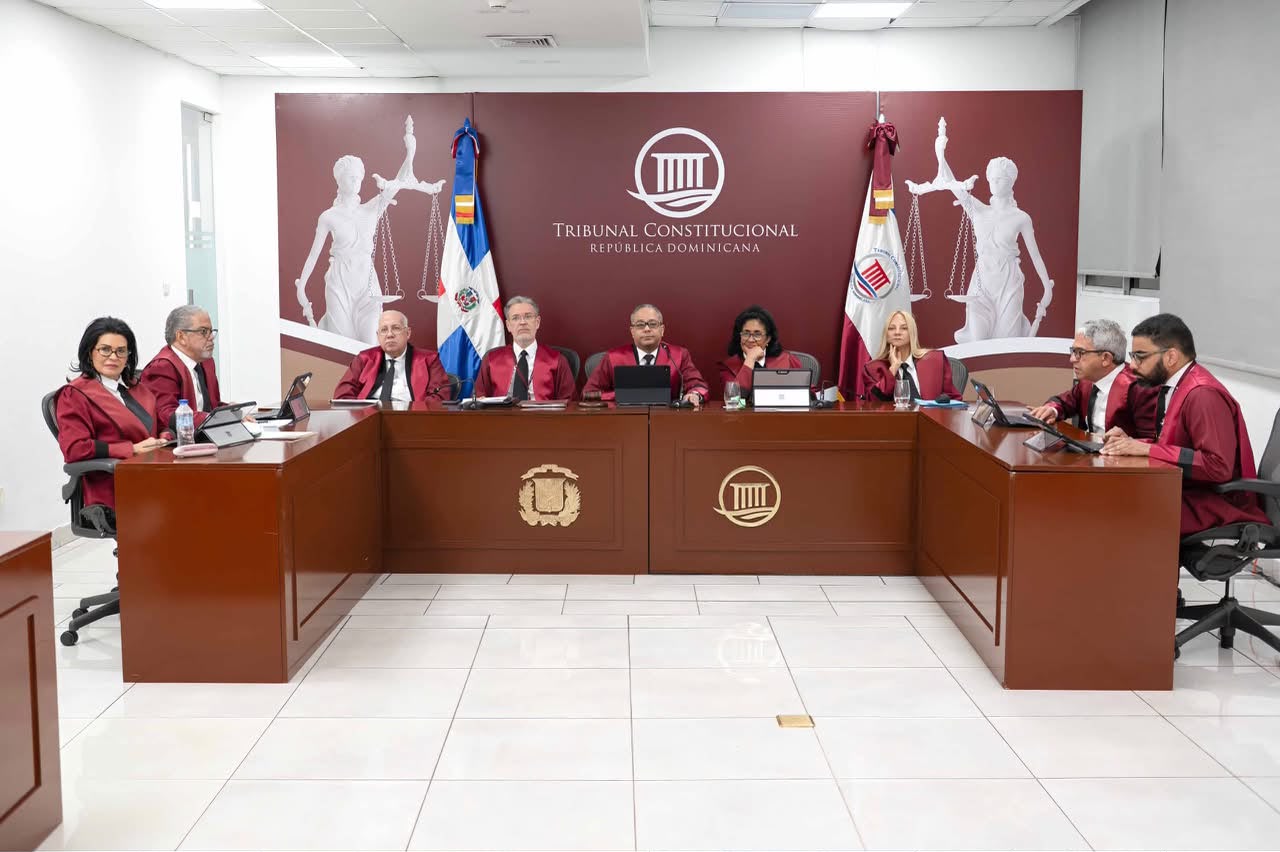 Llevan ante el TC acciones contra el Código Penal, el reglamento de licencias y la ley policial