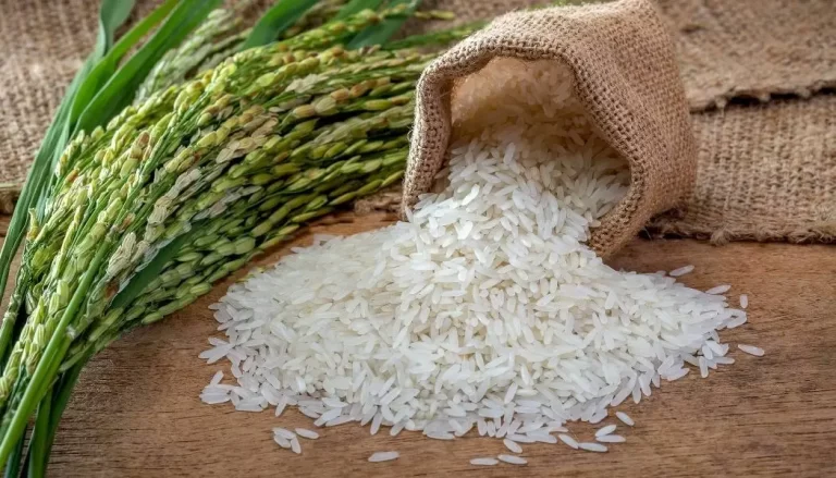 El contrabando de arroz hacia Haití presionó al gobierno para importar el grano desde otros países
