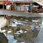 Comerciantes denuncian insalubridad en la Duarte con 27 de Febrero: basura y aguas negras se acumulan bajo el puente